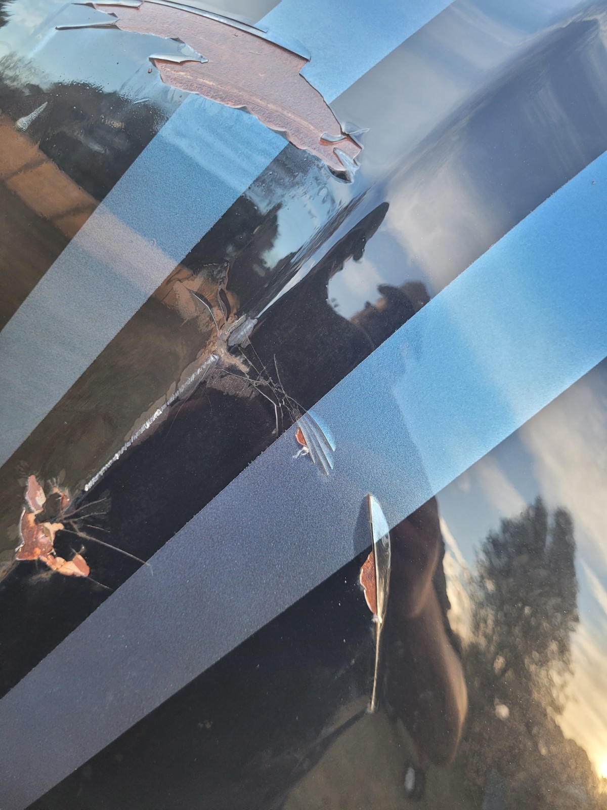 1949/1950/1951 Mercury Hood And Trunk Lid