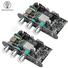 2PC 100W Bluetooth 5.3 TPA3116D2 Mono Audio Power Amplifier Board TWS Mode APP