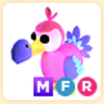 MFR Dodo   PET NEW HOT   The Trusted Store!!
