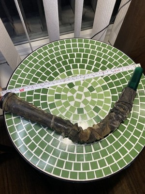 Quaker Boy Challenger Elk Bugle Hunting Call with Cover