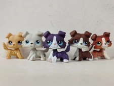 5pcs/lot LPS Toys Littlest Pet Shop Collie Dog #1194#363#1676#1542 Figures