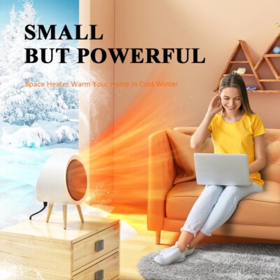 1000W Home Office Space Heaters for Indoor Use 2 in 1 Heating and Cooling System