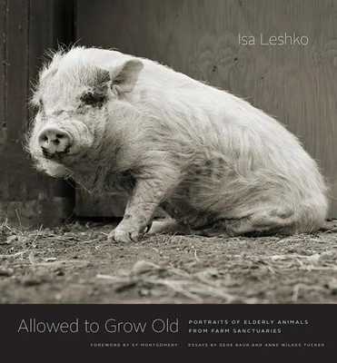 Allowed to Grow Old | Portraits of Elderly Animals from Farm Sanctuaries | Buch