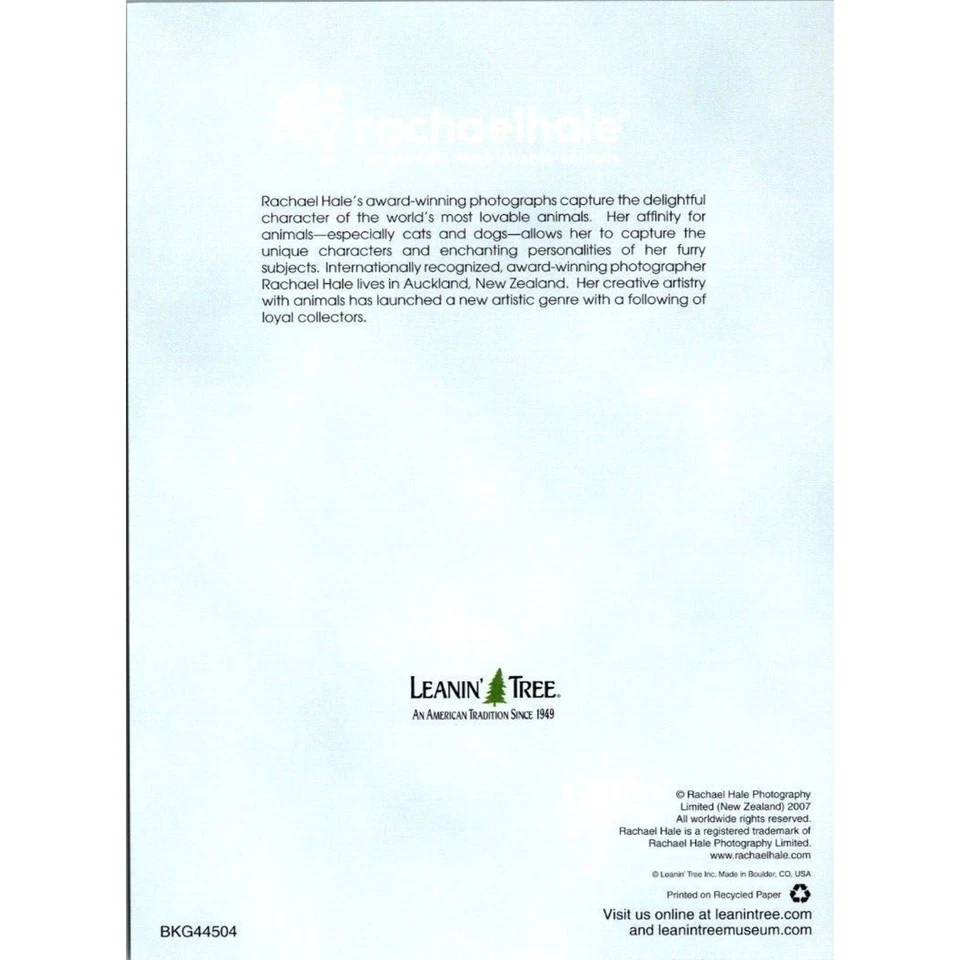 New Leanin' Tree Puppies Greeting Card By Rachael Hale Photography Blank Inside - Image 4 of 4