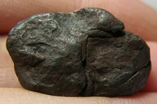 #5 8.50g Natural Raw Rock From Space Arizona USA Diablo Meteorite 42.70ct 25mm