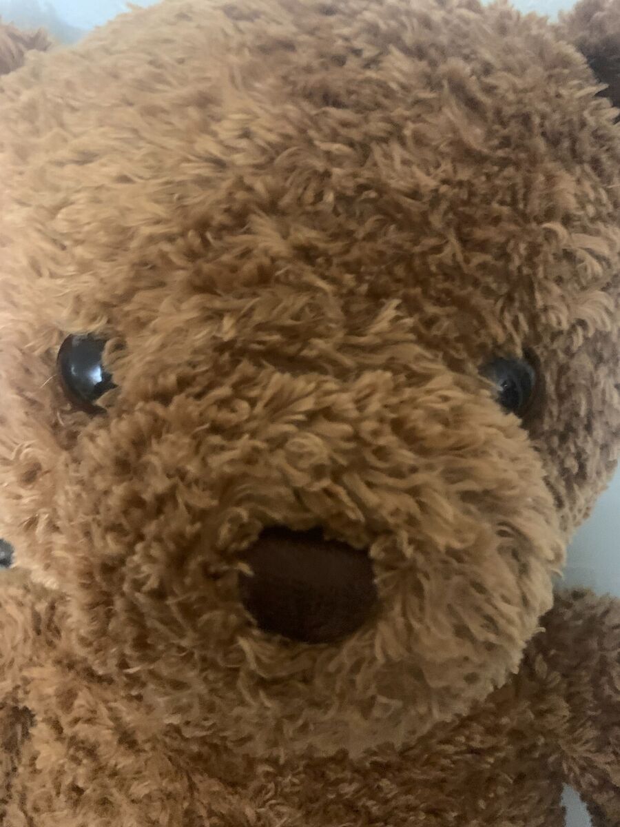 GUND Wish Teddy Bear Large Plush 26 GUND Wish Teddy Bear Large Plush 26