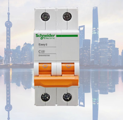 1PC NEW Schneider Miniature circuit breaker Easy9 C25 2P EA9AN2C25 #LL