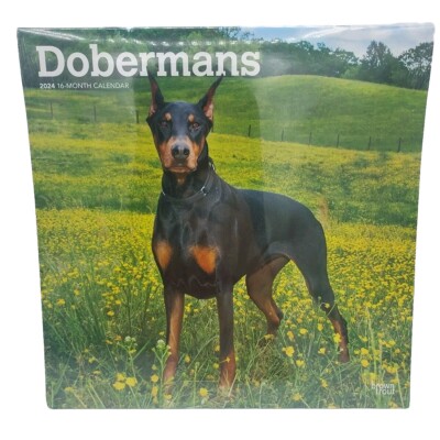 Dobermans 2024 Square by Browntrout