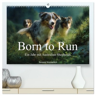 Simone Wunderlich | Born to run - Ein Jahr mit Australian Shepherds...