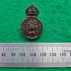 WW2 British Army Catering Corps Economy Plastic Cap Badge