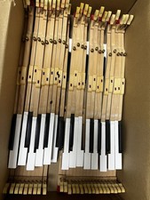 Piano Keys Off Steinway B