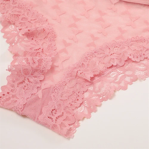 Mode Damen Hipster Slips Spitze Dessous Damen durchsichtig Höschen - Bild 10 von 16