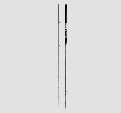 Shimano 19 Salty Advance LIGHT SHORE JIGGING S96L Spinning Rod | eBay