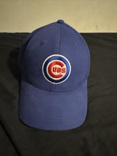 Chicago Cubs Collecting and Fan Guide 40