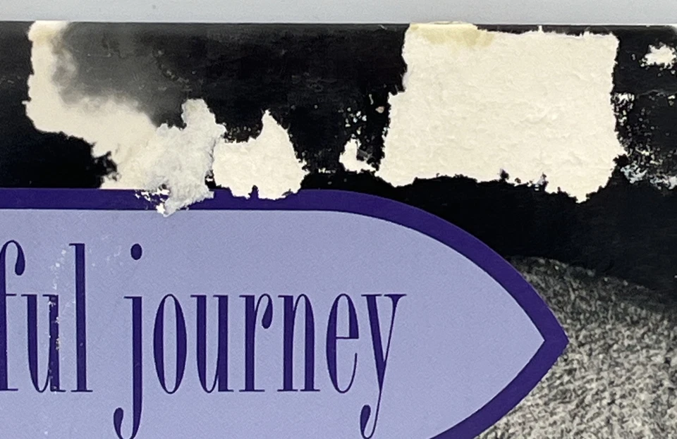 Heavy D & The Boyz Peaceful Journey Vinyl 12” Single MCA 10289 Rare Tested EX - Image 4 of 4