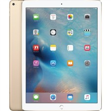 Apple iPad Pro 12,9 WiFi + 4G 128GB Oro iOS Tablet buono
