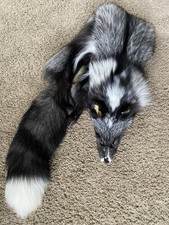 Real Ranch Fox 5* Fur Tanned Pelt Leather Red Silver Platinum Cross Hybrid