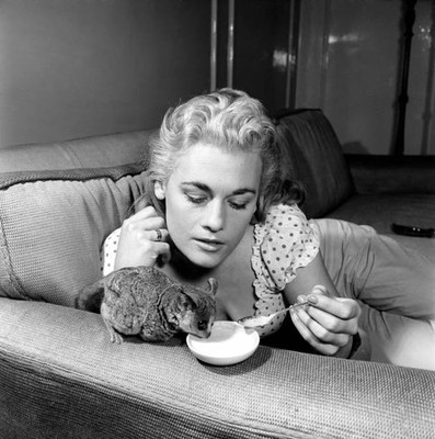 Dorinda Stevens with her pet galago Circa 1959 Histoic Old Photo 2