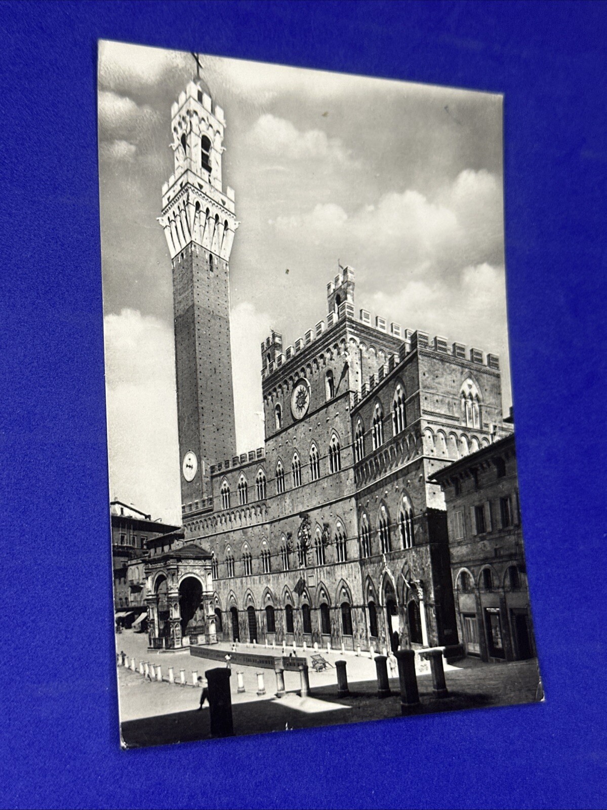 SIENA PALAZZO PUBBLICO VEDUTA VIAGGIATA - Cartolina Bianco E Nero