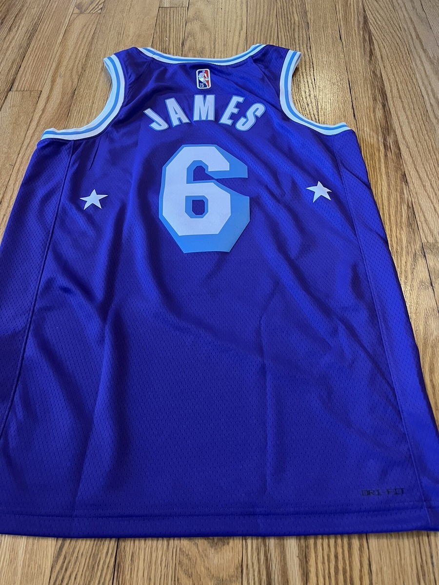 Lebron James #6 Los Angeles Lakers Nike City Edition 75th