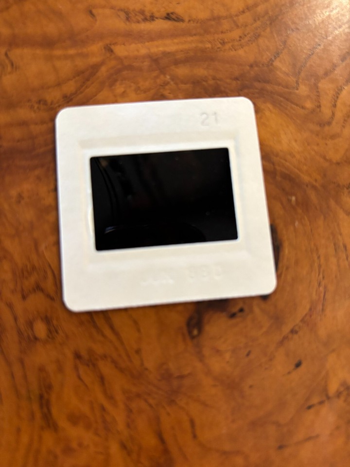 PLAYBOY PHOTO SHOOT "Girls Of" SEC/BIG 12 /ACC 35MM Slide (905) eBay