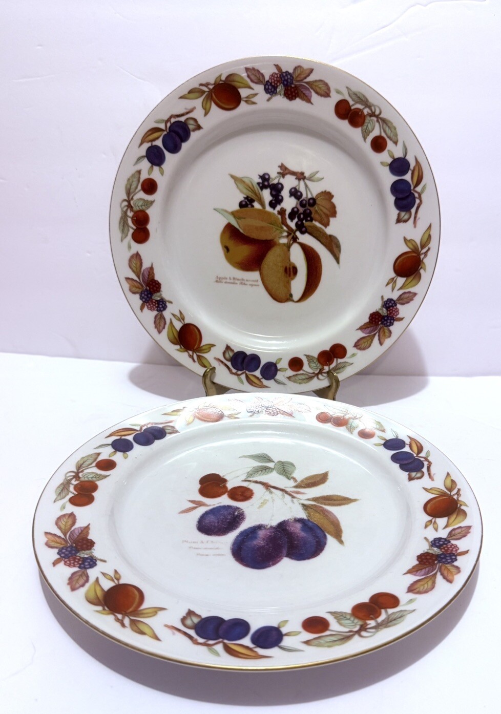 Royal Worcester Evesham Gold Trim 10 Inch Dinner Plates - Set of 8
