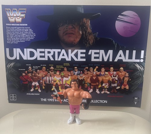 WWF WWE Hasbro Wrestling Figure. Series 1: Brutus ...