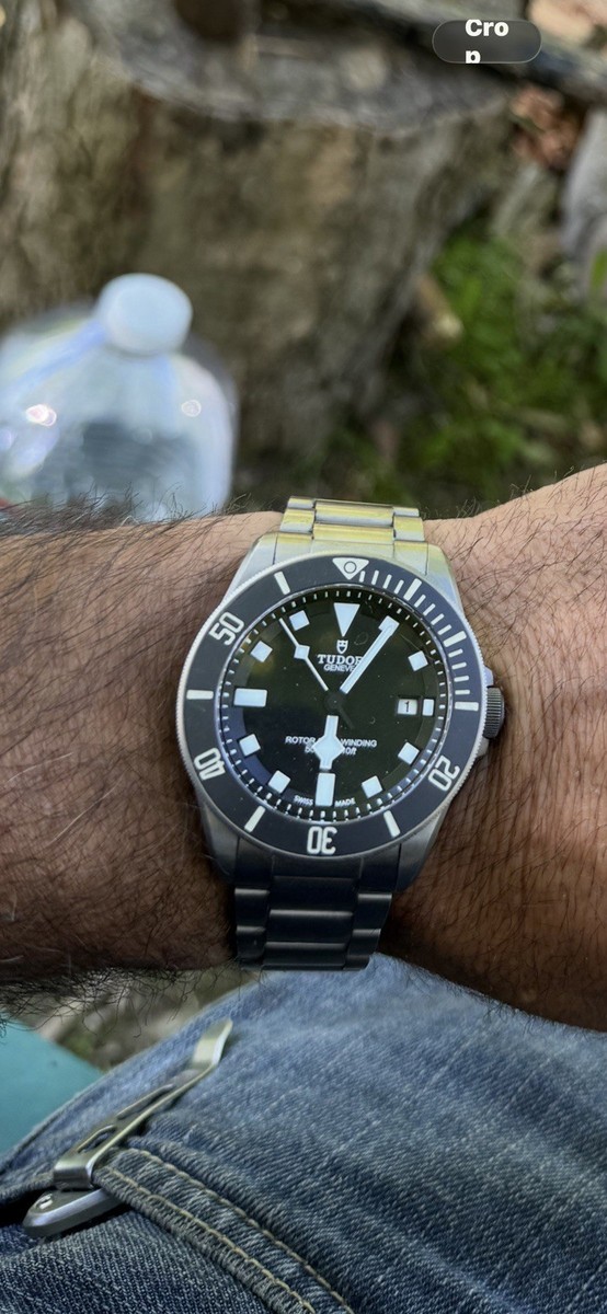 TUDOR Pelagos 25500TN for sale online | eBay
