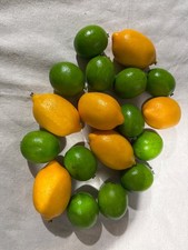 6 Yellow Fake Lemons 12 limes Foam Artificial Fruit for DIY Crafts Decor