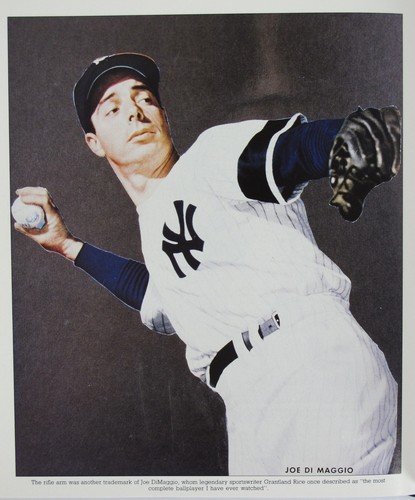 THE DIMAGGIO ALBUMS SPORTS JOE DIMAGGIO BASEBALL 2 VOLUME SET 1ST EDITION 1989 - Bild 11 von 12