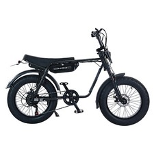 750W Fat Tire Electric Bicycle Ebike for Adult 26in 48V 13AH Motor 45KPH 3I