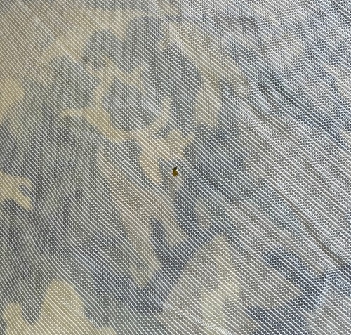 VTG 80's Brigade Quartermaster Woodland Camo Gossamer Tent Bivy Eureka OLDGEN SF - Picture 12 of 15