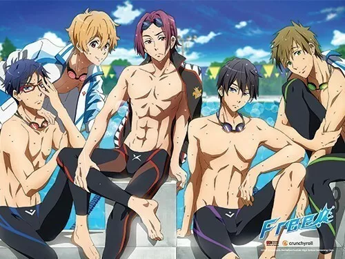 1 X Free! Iwatobi Swim Club Anime Fabric Wall Scroll Poster (16 x 23)  Inches