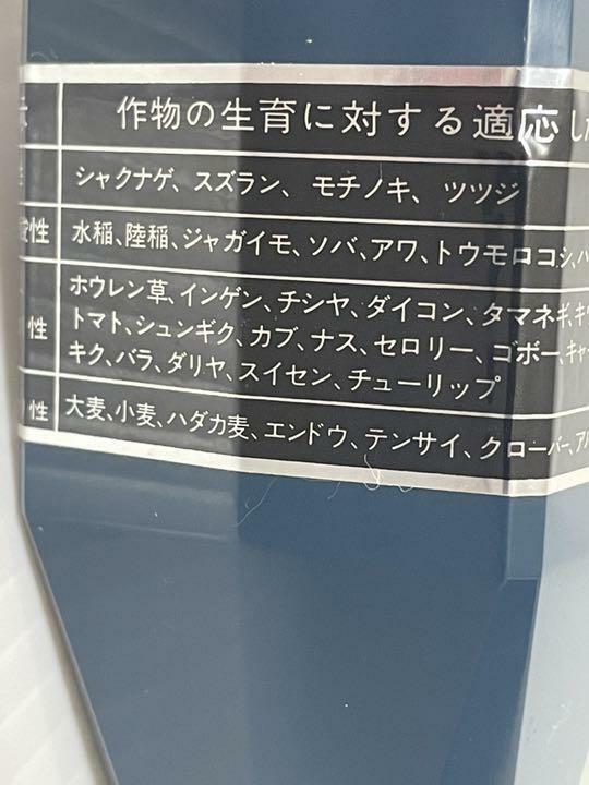 Foto 7 di 11