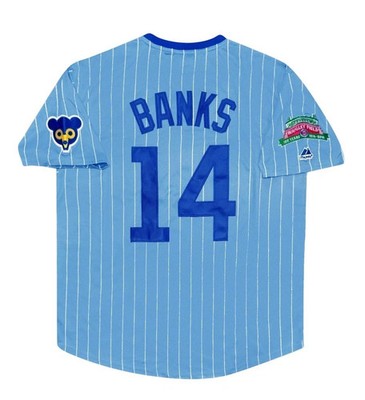 Ernie Banks Chicago Cubs Wrigley 100th Blue Cooperstown Jersey Men's (L-XL)