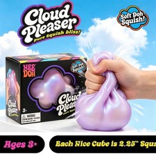 NeeDoh Cloud Pleaser Squishy Fidget Stress Toy by Schylling New