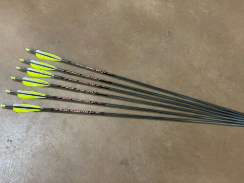 Victory Archery VAP SS Elite Arrows 200/250/300/350/400 - 6/Pack | eBay