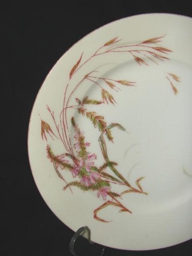 Antiguo plato de ensalada blanco fino hecho en 1894 Deliniers and Company Limoges - Imagen 2 de 4