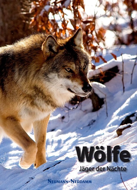 Thumbnail - Wölfe
