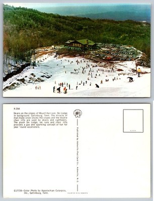 Gatlinburg TN Ski Lodge Mount Harrison Skiers Vintage Postcard