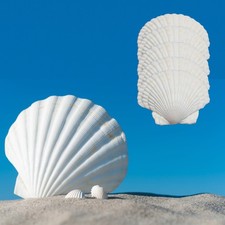 20 PCS Large Beach Natural Scallop Shells 45 Inch Seashells DIY Baking