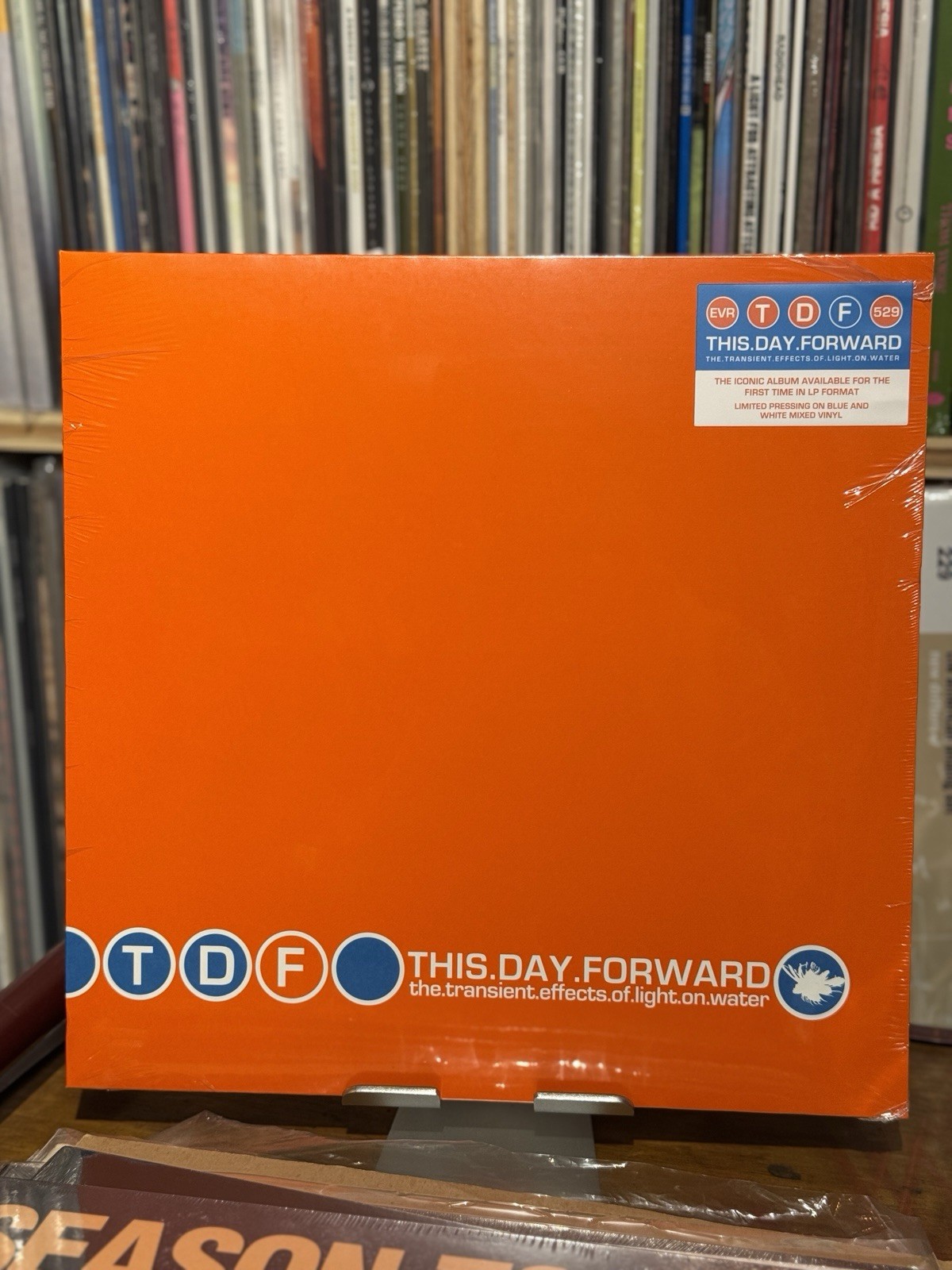 This Day Forward - Transient Effects Of Light… LP, Ltd. 200 Blue & White vinyl