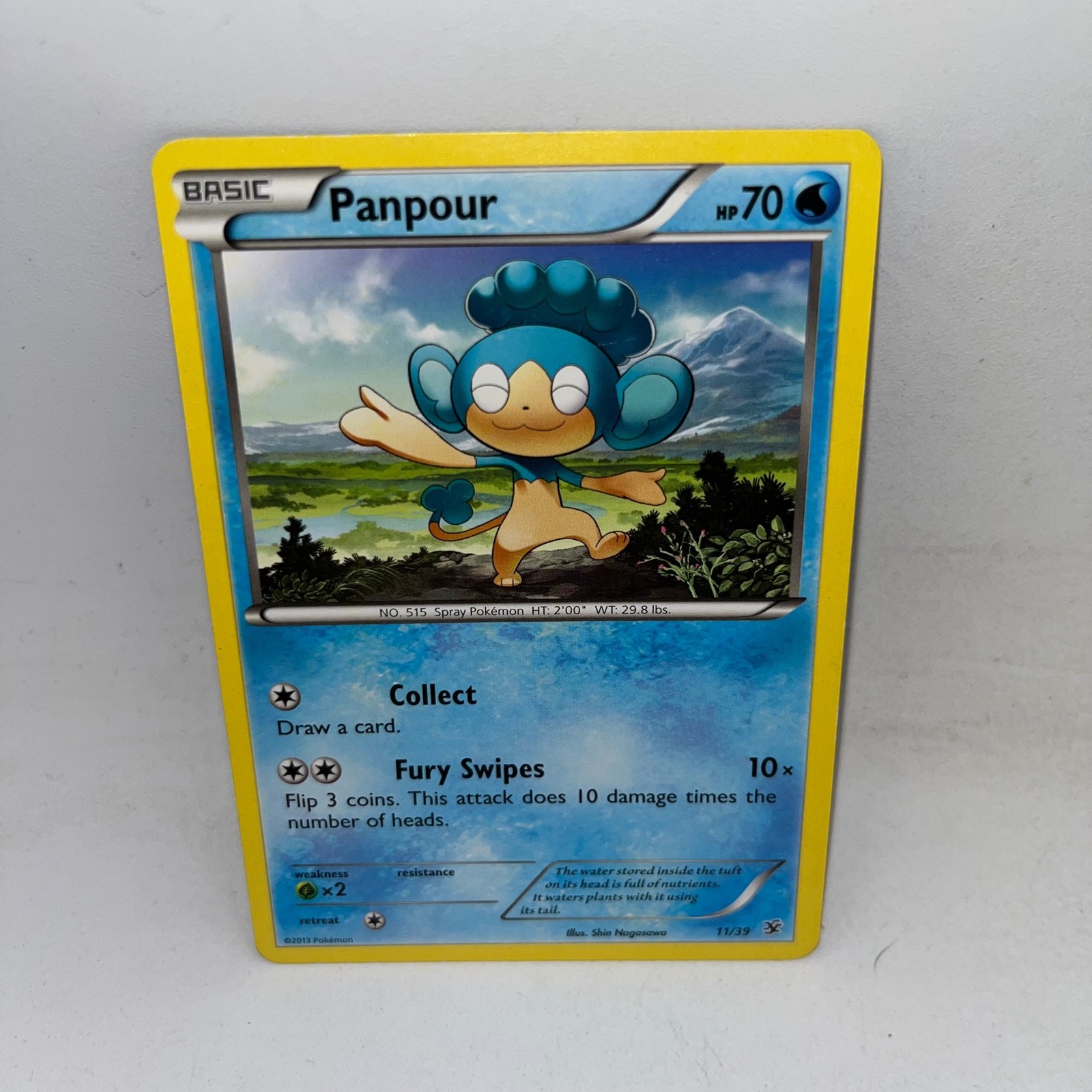 Panpour 11/39 Kalos Starter Set Pokemon Moderately Played
