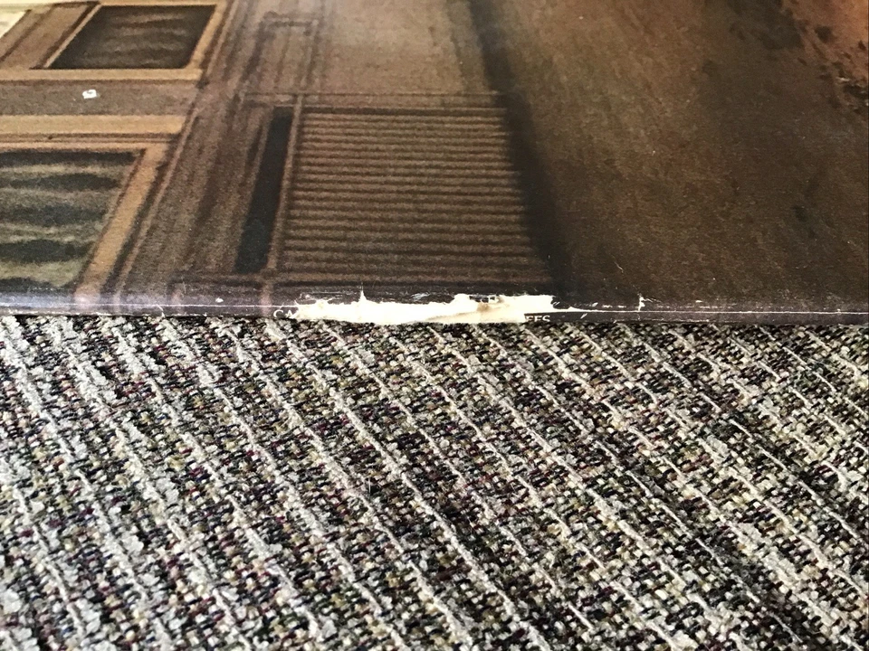 CARLY SIMON BOYS IN THE TREES 1978 LP ELEKTRA PRINT RARE “SUPER DISK” EDITION  - Image 4 of 4