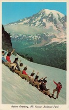 Nature Coasting - Mount Rainier National Park - Washington WA - Postcard