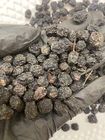 Black Chokeberry Aronia Berry Dried 150g 220g 450g 600g  Organic Whole berry