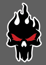 Punisher Skull Red Eyes Vinyl Decal Sticker Car Truck Cell Phone Laptop