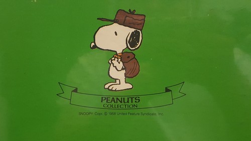 SNOOPY Camping Scouts 3 Ring Binder Folder Vtg 1965 Woodstock Butterfly Original - Picture 14 of 24
