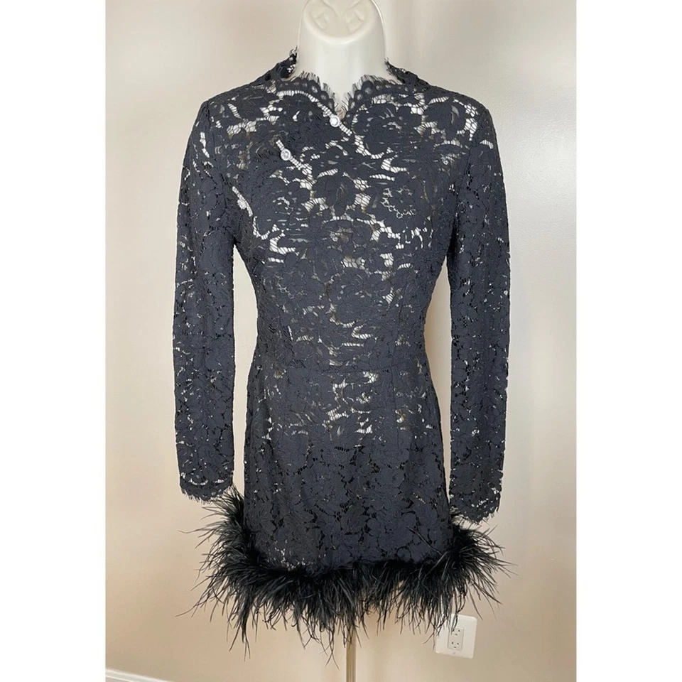 Mini Vestido Sau Lee Mara Encaje Pluma Dobladillo Manga Larga Adornado Negro Talla 0 Foto 4 de 4