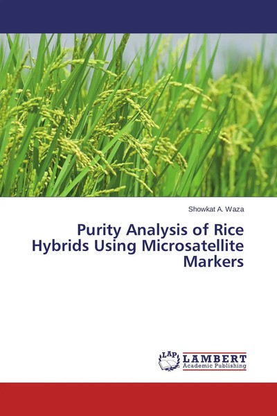 Showkat A. Waza | Purity Analysis Of Rice Hybrids Using Microsatellite Markers-image
